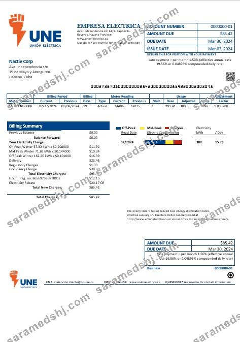 Cuba Empresa Electrica business utility bill template in Word and pdf formats